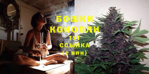 прущие крисы Горнозаводск