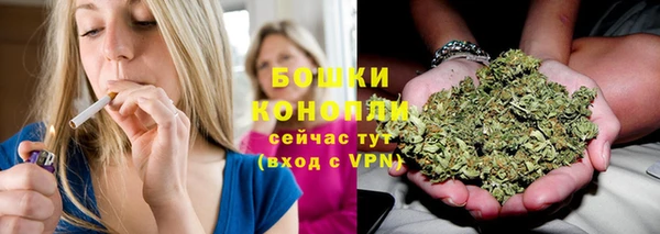 прущие крисы Горнозаводск